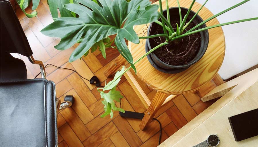 laminate eco
